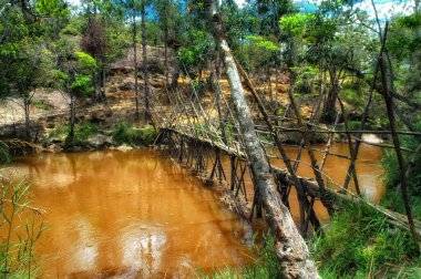 Baliem Vadisi 'ndeki tahta tarih öncesi köprü, Papua, Endonezya.