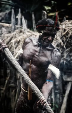 Baliem Vadisi, Batı Papua, Endonezya, 07 Ekim 2008: Baliem Vadisi 'nin Dani kabilesi halkı geleneksel kıyafetleriyle