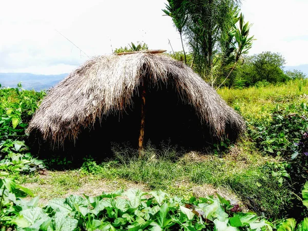 Una Cabaña Gente Nativa Dani Wamena Papua Indonesia — Foto de Stock