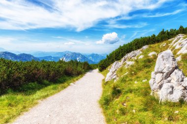Krippenstein Dağı 'ndaki Alplerdeki Dachstein Massif Platformu' nun yolu. Avusturya, Avrupa