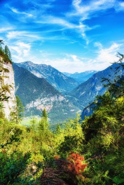 Dachstein Krippenstein, Avusturya 'nın Salzkammergut şehrinde bir dünya mirası dağ alanıdır.