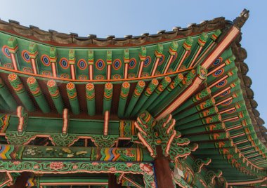 Alace Sarayı çatı