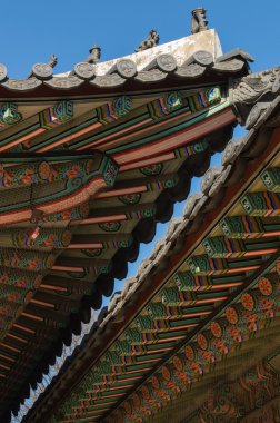 Alace Sarayı çatı