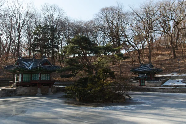 Changdeokgung Secret Garden — Stockfoto