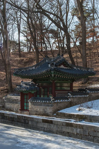 Changdeokgung Secret Garden — Zdjęcie stockowe