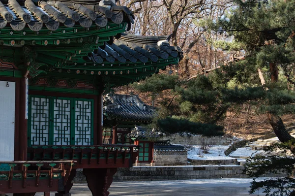 Giardino segreto di Changdeokgung — Foto Stock