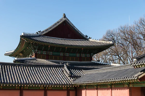 Palácio Changdeokgung em Seul, Coreia do Sul . — Fotografia de Stock