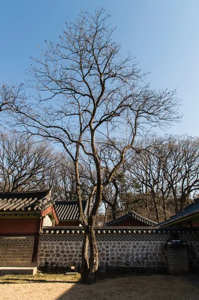 Il Santuario di Jongmyo è un santuario confuciano a Seoul, Corea del Sud — Foto Stock