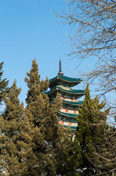 Museo Popular de Corea — Foto de Stock