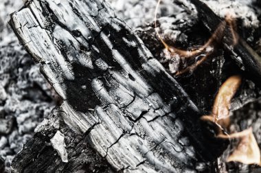 Şenlik Ateşi Yaklaş