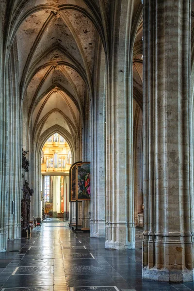 Antwerp, Belçika - 25 Ağustos 2024: Onze Lieve Vrouwekathedraal (Meryem Katedrali), Antwerp, Belçika