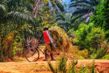 Burundi, Rusizi 'nin Doğa Koruma Alanı, Bisikletli Adamlar Tarafından Yem Alma