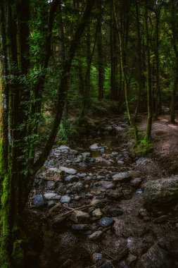 Ardennes 'in Ninlingspo dağ nehri kıyısındaki en güzel yürüyüşü. Liege bölgesindeki Remouchamps yakınlarında yer almaktadır.