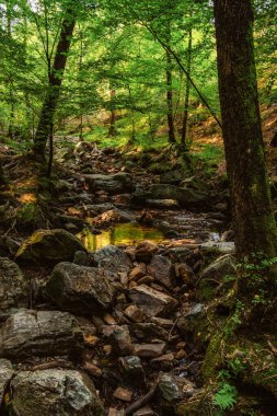 Ardennes 'in Ninlingspo dağ nehri kıyısındaki en güzel yürüyüşü. Liege bölgesindeki Remouchamps yakınlarında yer almaktadır.