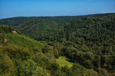 Belçika 'nın kırsal bölgelerinde yaz aylarında tarlalar, çayırlar, çalılar ve ormanlar görülüyor.