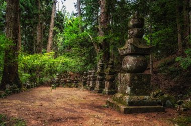 Koyasan Kunoin Mezarlığı sedir ormanlarıyla çevrili yosun kaplı taş fenerler ve mezarlarla dolu. Huzurlu bir miras arayan ruhani gezginler için ideal bir yer, Japonya.