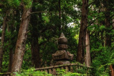Japonya 'nın Koya Dağı' ndaki Okunoin Mezarlığı