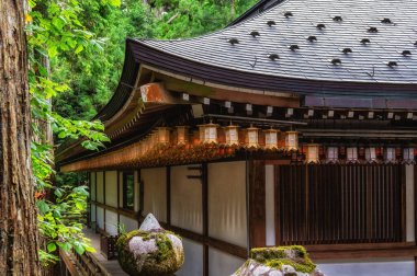 Wakayama 'nın Wakayama bölgesindeki Koya Dağı' nın Budist tapınağındaki antik bir Budist tapınağında altın fener sıraları.