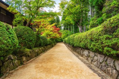 Garan Tapınağı kompleksine giden patika, Koyasan, Japonya