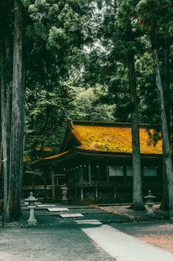 Kongobu-ji Danjo Garan bölgesindeki tapınak, Koyasan, Koya, Ito Bölgesi, Wakayama, Japonya 'daki tarihi Budist tapınağı kompleksi.
