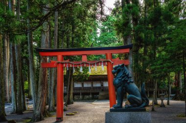 Japon Torii kapısı bir tapınak girişinde, Kongobu-ji Danjo Garan bölgesi, tarihi Budist tapınağı kompleksi, Japonya