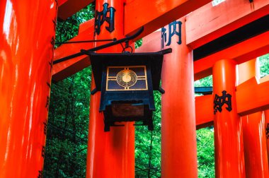 Kyoto, Japonya - 7 Ağustos 2023: Fushimi Inari 'de fener ve kırmızı torii kapıları