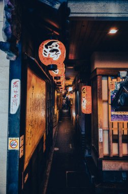 Osaka, Japonya - 7 Ağustos 2023: Osaka Japonya 'nın Dotonburi gece hayatı bölgesinde gece sahnesi