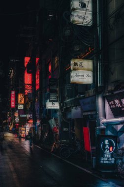 Osaka, Japonya - 7 Ağustos 2023: Osaka Japonya 'nın Dotonburi gece hayatı bölgesinde gece sahnesi