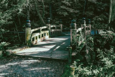 Japon tapınağında ağaçlarla çevrili gizli bir köprü..