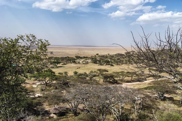 Serengeti, Tanzânia, África — Fotografia de Stock