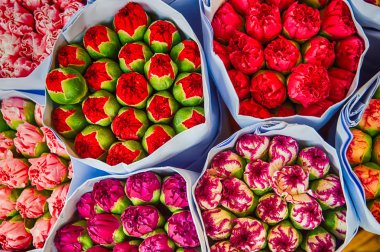 Güzel renkli çiçekler