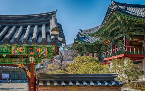 Tempio di Bongeunsa, Corea del Sud . — Foto Stock