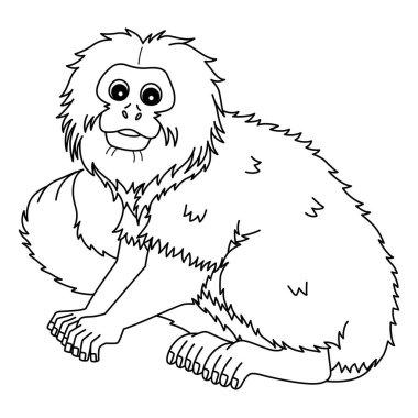 Altın Aslan Tamarin Maymunu 'nun sevimli ve komik renkli sayfası. Çocuklar için saatlerce boyama eğlencesi sağlıyor. Bu sayfayı boyamak çok kolaydır. Küçük çocuklar ve yeni yürümeye başlayanlar için uygun.. 