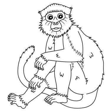 Maymun Kırmızı Colobus 'un şirin ve komik renkli sayfası. Çocuklar için saatlerce boyama eğlencesi sağlıyor. Bu sayfayı boyamak çok kolaydır. Küçük çocuklar ve yeni yürümeye başlayanlar için uygun.. 