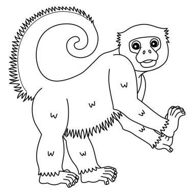 Peru Sarı Kuyruklu Tüylü Maymun 'un şirin ve komik renkli sayfası. Çocuklar için saatlerce boyama eğlencesi sağlıyor. Bu sayfayı boyamak çok kolaydır. Küçük çocuklar ve yeni yürümeye başlayanlar için uygun.. 