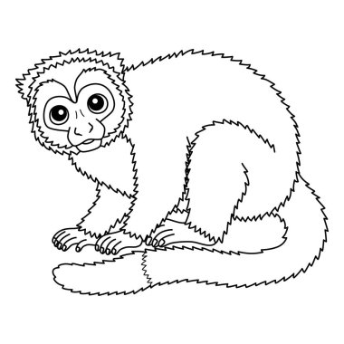 Bir Gece Maymunu 'nun sevimli ve komik renkli sayfası. Çocuklar için saatlerce boyama eğlencesi sağlıyor. Bu sayfayı boyamak çok kolaydır. Küçük çocuklar ve yeni yürümeye başlayanlar için uygun.. 
