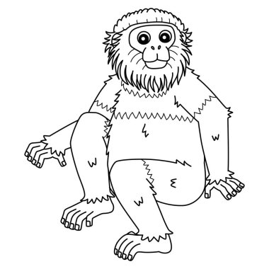 Douc Langur Maymunu 'nun sevimli ve komik renkli sayfası. Çocuklar için saatlerce boyama eğlencesi sağlıyor. Bu sayfayı boyamak çok kolaydır. Küçük çocuklar ve yeni yürümeye başlayanlar için uygun.. 