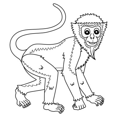 Diana Maymunu 'nun şirin ve komik renkli sayfası. Çocuklar için saatlerce boyama eğlencesi sağlıyor. Bu sayfayı boyamak çok kolaydır. Küçük çocuklar ve yeni yürümeye başlayanlar için uygun.. 