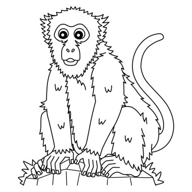Assamese Macaque Maymunu 'nun sevimli ve komik renkli sayfası. Çocuklar için saatlerce boyama eğlencesi sağlıyor. Bu sayfayı boyamak çok kolaydır. Küçük çocuklar ve yeni yürümeye başlayanlar için uygun.. 