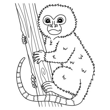 Maymun Pigme Marmoset 'in şirin ve komik renkli sayfası. Çocuklar için saatlerce boyama eğlencesi sağlıyor. Bu sayfayı boyamak çok kolaydır. Küçük çocuklar ve yeni yürümeye başlayanlar için uygun.. 