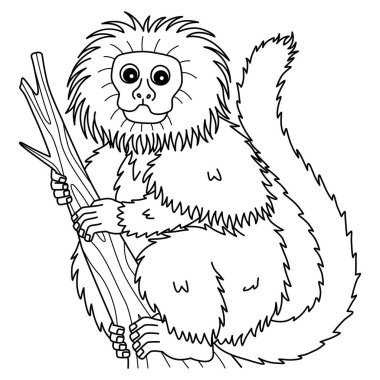 Siyah Aslan Tamarin 'in şirin ve komik renkli sayfası. Çocuklar için saatlerce boyama eğlencesi sağlıyor. Bu sayfayı boyamak çok kolaydır. Küçük çocuklar ve yeni yürümeye başlayanlar için uygun.. 