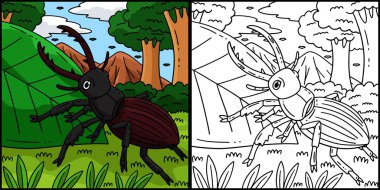 Bu renklendirme sayfasında Orman Hayvanları Geyik Böceği var. Bu illüstrasyonun bir tarafı renkli ve çocuklar için bir ilham kaynağı..