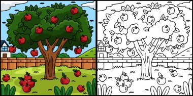 Bu boyama sayfası bir elma ağacı meyve bitkisini gösteriyor. Bu illüstrasyonun bir tarafı renkli ve çocuklar için bir ilham kaynağı..