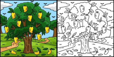 Bu boyama sayfasında bir Mango Ağacı Meyve Bitkisi var. Bu illüstrasyonun bir tarafı renkli ve çocuklar için bir ilham kaynağı..