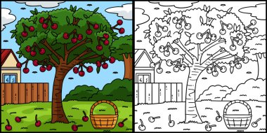 Bu boyama sayfası bir kiraz ağacı meyve bitkisini gösteriyor. Bu illüstrasyonun bir tarafı renkli ve çocuklar için bir ilham kaynağı..