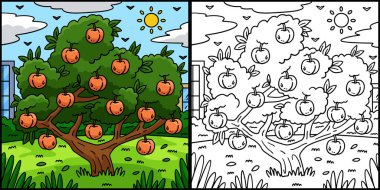 Bu boyama sayfasında Şeftali Ağacı Meyve Bitkisi var. Bu illüstrasyonun bir tarafı renkli ve çocuklar için bir ilham kaynağı..