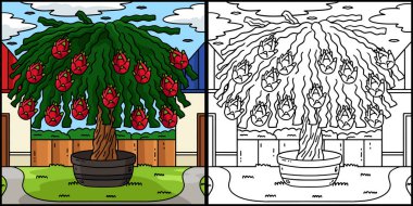 Bu renkli sayfa Ejderha Meyve Kaktüsü Ağacı 'nı gösteriyor. Bu illüstrasyonun bir tarafı renkli ve çocuklar için bir ilham kaynağı..