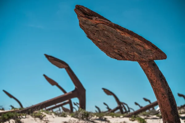 Anchor's cementary on the beach at Praia Do Barril in Santa Luzia, Algarve, Portugal. Old rusty marine anchors in dunes with blue sky.