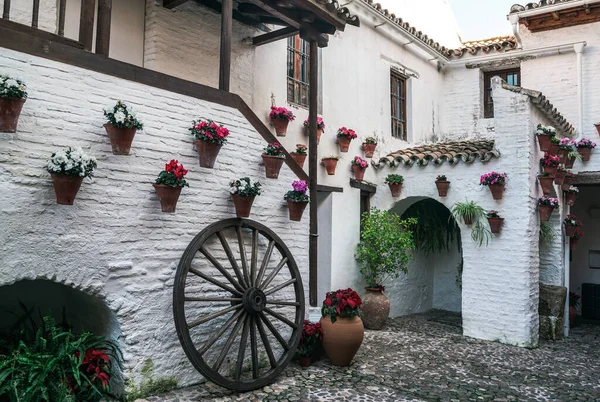 Cordoba, Endülüs, İspanya 'da geleneksel Endülüs verandası. Beyaz duvarlarda renkli çiçekler var.