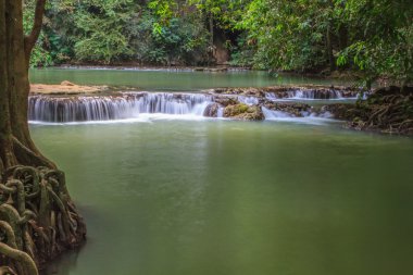 Tropikal ormanda şelale 